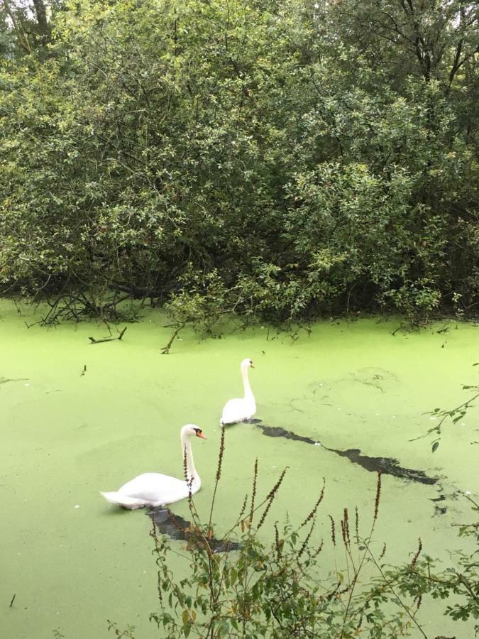 Voel Je Thuis Zwolle  Esterno foto